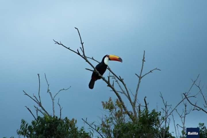 Pousada Mirante De Minas イタペバ エクステリア 写真